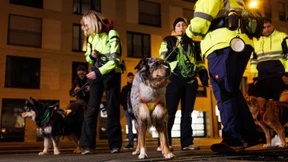 Vermisster Noah wohlbehalten aufgefunden