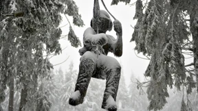 Vier Verletzte nach stürmischer Nacht 