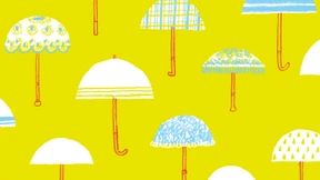 Der letzte Schirmherr