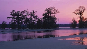 Die Welt gehört den Toten