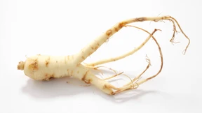 Avantgarde aus Rohstoffen