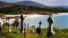 Die Grüne Insel und ihre Leichen im Keller