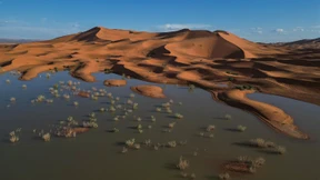 Überschwemmungen in der Sahara