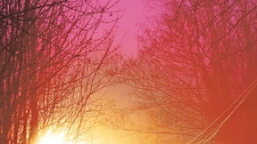 Linke Heldengeschichten einst und jetzt