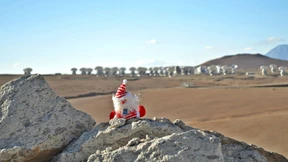 Feuerlicher Jahresabschluss