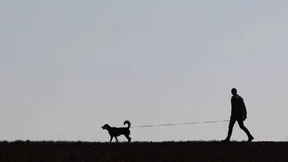 Hund mit Reizgas besprüht, Halterin geschlagen