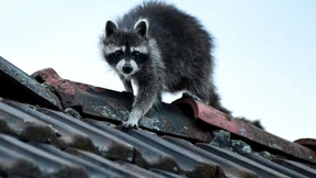 Leserbriefe vom 16. November 2021