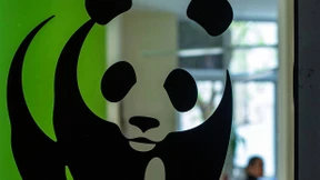 Staatliche Förderbank setzt Zahlung für ein WWF-Projekt aus