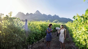 Vom Krügerpark ans Kap