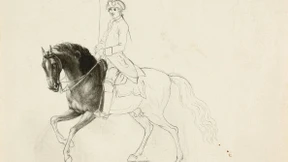 Seine Liebe zu den Pferden: 