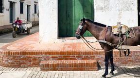 Die drei Leben der Perle vom heiligen Kreuz