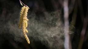 Immunsystem hat Langeweile