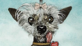 Weniger erlauchte Namen