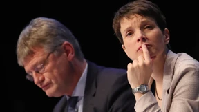 AfD fordert OSZE-Beobachter