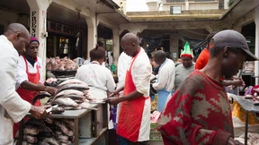 Und was ist mit Afrika? 