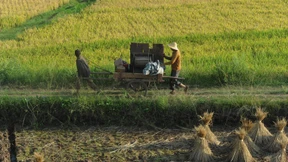 Peking feiert spektakuläre Zahlen