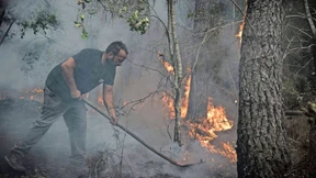 „Der Wald brennt wie Stroh“