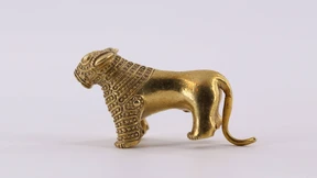 Der goldene Löwe brüllt auf dem Geldschein