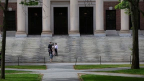 „Trumps Umgang mit den Universitäten ist zynisch“