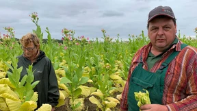 Die letzten der Mohikaner