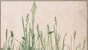 Vom Wesen der Pflanze