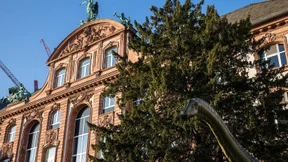 Senckenberg baut für 316 Millionen Euro