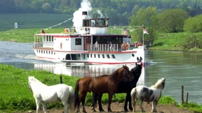 Historischer Raddampfer wird nach Bremen verlegt