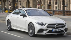 Auf Wunsch brachiale Schönheit