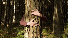 Warum Nachhaltigkeit so schwer zu beurteilen ist