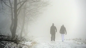 Ein Professor zum Mieten