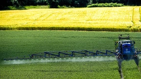 Das Ende von Glyphosat kommt erst nach 2023