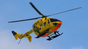 Die gelben Engel üben sich in Demut