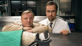 Können Tiere erben?