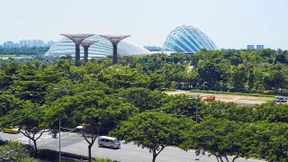 Den nächsten Schritt wagen