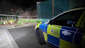 Zwei Hunde töten Frau in England