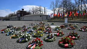 Erinnerungsbäume für KZ-Häftlinge in Buchenwald abgesägt