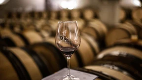 Genussvolle Rendite mit Wein