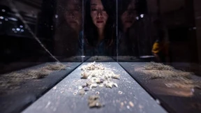 Gesammelt aus Museen