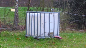 Zum Wegwerfen viel zu schade