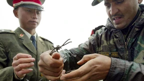 Indien und China einigen sich