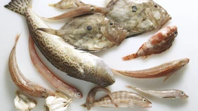 Sie sind jetzt bereit!