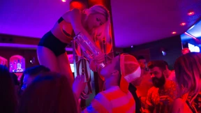 Das organisierte Erbrechen