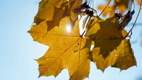 Vornamen tauschen und neue Verbraucherklage