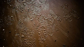 Pegel der Elbe in Dresden sinkt 