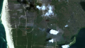 „Solche Wälder wird es zu Lebzeiten nicht mehr geben“