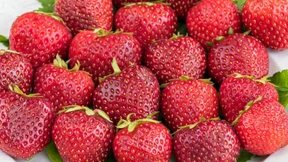 Die Beste kommt zum Schluss