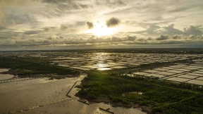 Dem Untergang geweiht