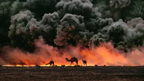 Aus den Erinnerungen der Menschheit