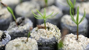 Wie finden Anleger die besten nachhaltigen Investments?