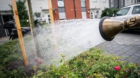 Hitze, Langeweile und Idioten